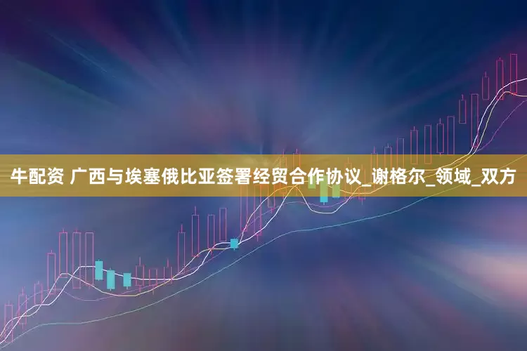 牛配资 广西与埃塞俄比亚签署经贸合作协议_谢格尔_领域_双方
